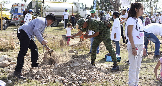 BUAP planta 10 mil árboles en Valsequillo para evitar erosión