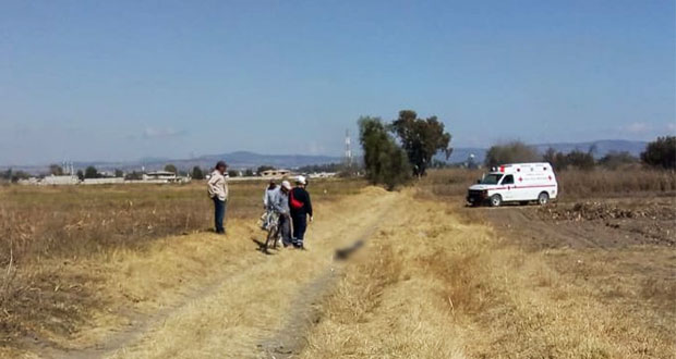 En 72 horas, hallan 3 cadáveres en San Martín