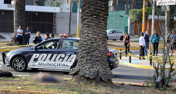 Mujer muere en camellón tras ser atropellada en colonia La Paz. Foto: EsImagen