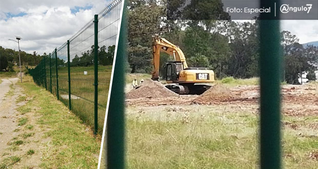 Talan 100 árboles para construir mil 004 departamentos en cerro de Amalucan