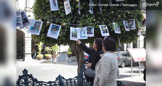 Aspirantes al Consejo de Búsqueda exhiben dilación en casos y poca empatía  