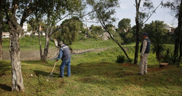 Ayuntamiento seguirá dando mantenimiento a áreas verdes