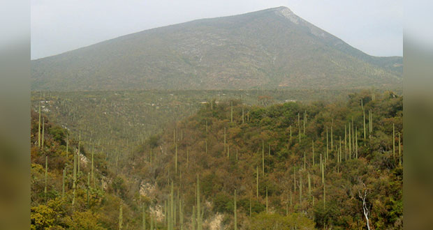 Proyecto ecoturístico en Cola de Lagarto, fuera de área protegida: Manrique