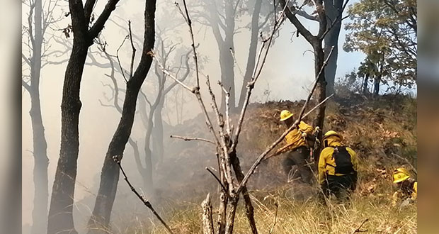 Hasta marzo, Puebla registra 33% menos incendios forestales que en 2021