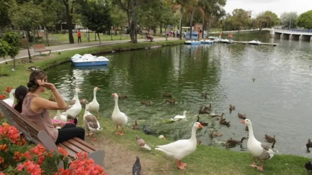 Van por segunda etapa de rehabilitación de Parque Ecológico que costará 12 mdp