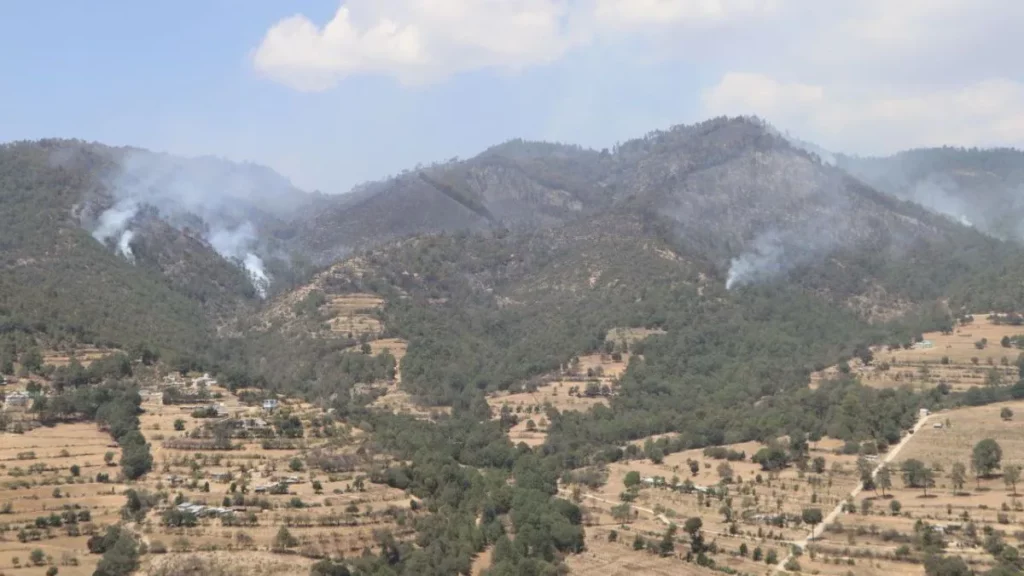 Incendio forestal en Libres deja 120 hectáreas afectadas, reportan