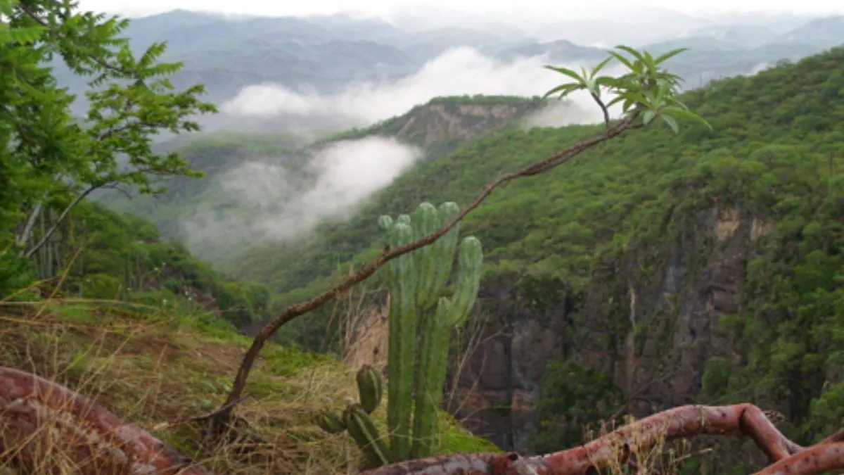 Semarnat rechaza explotar hierro en Reserva de la Biósfera Tehuacán-Cuicatlán