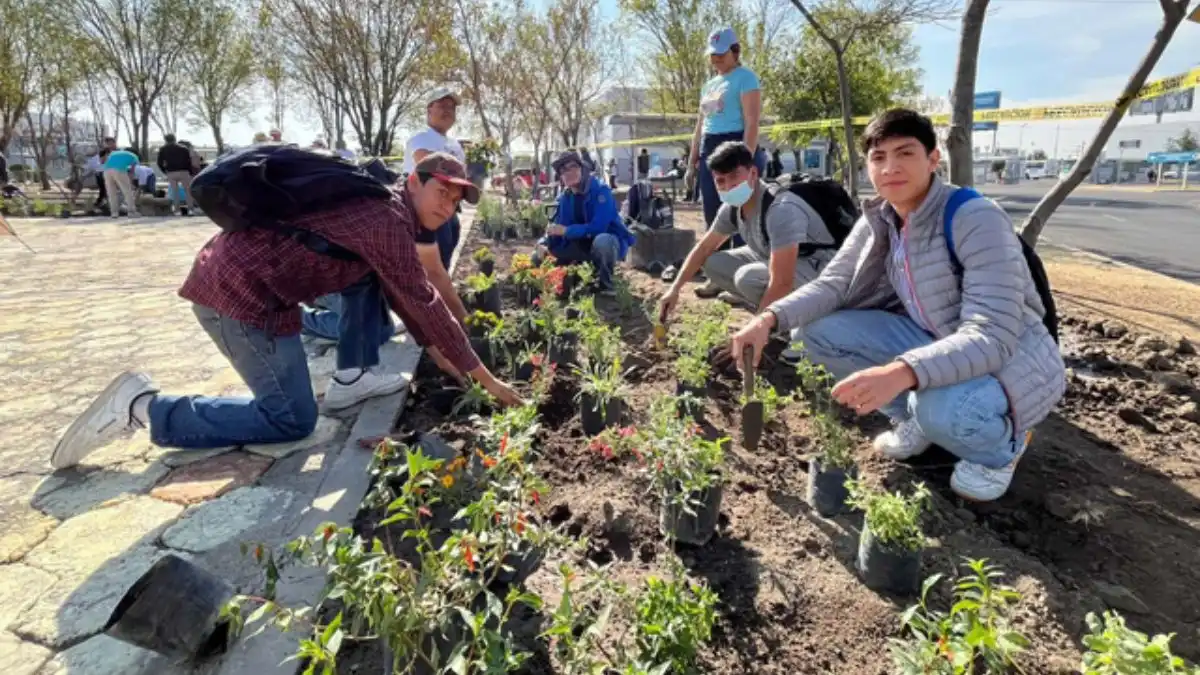 BUAP lanzá plataforma de cursos sobre educación ambiental